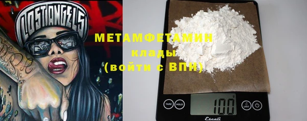 индика Зеленодольск