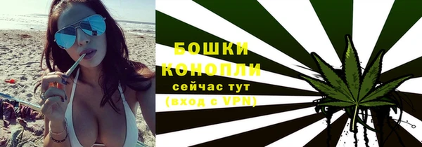 индика Зеленодольск