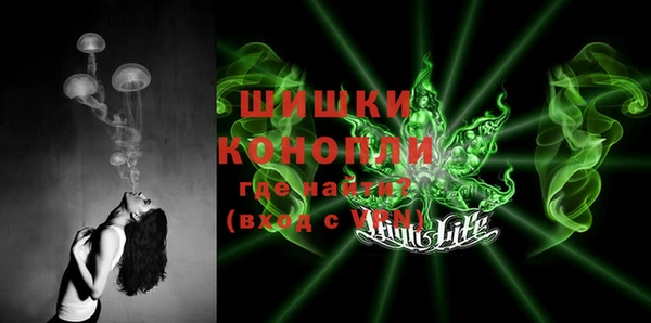 индика Зеленодольск