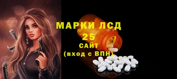 индика Зеленодольск