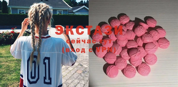 индика Зеленодольск