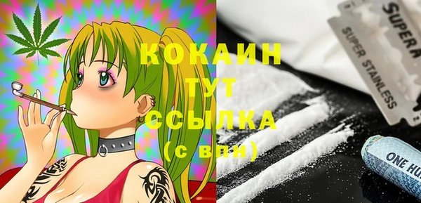 сатива Каменка