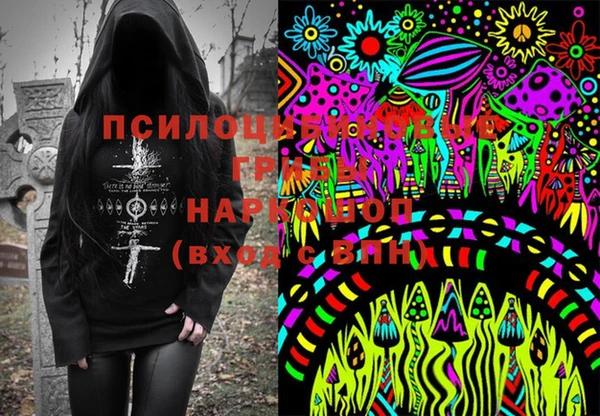 индика Зеленодольск