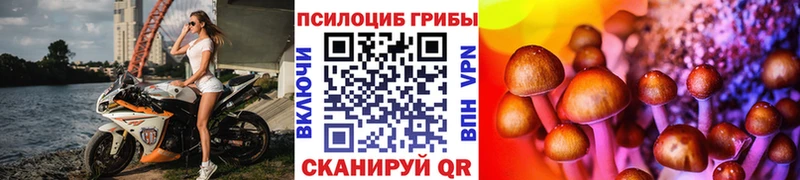 Псилоцибиновые грибы ЛСД  Купить закладки  Боровичи 